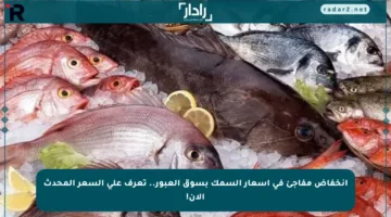 انخفاض مفاجئ في أسعار السمك بسوق العبور.. تعرف على السعر المحدث الآن!